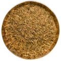 Organic Cumin