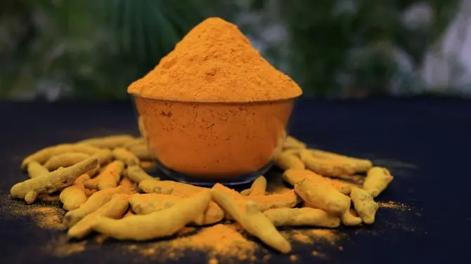 Curcumin Powder