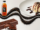 black tea powder