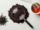black tea powder