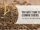cumin seed