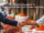 red chilli powder indian