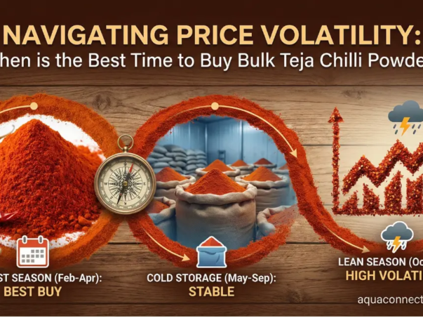 bulk Teja chilli powder
