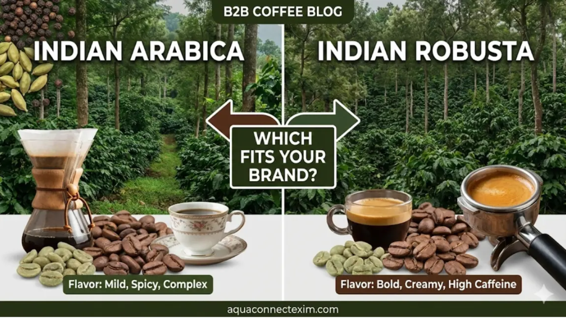 indian coffee beans