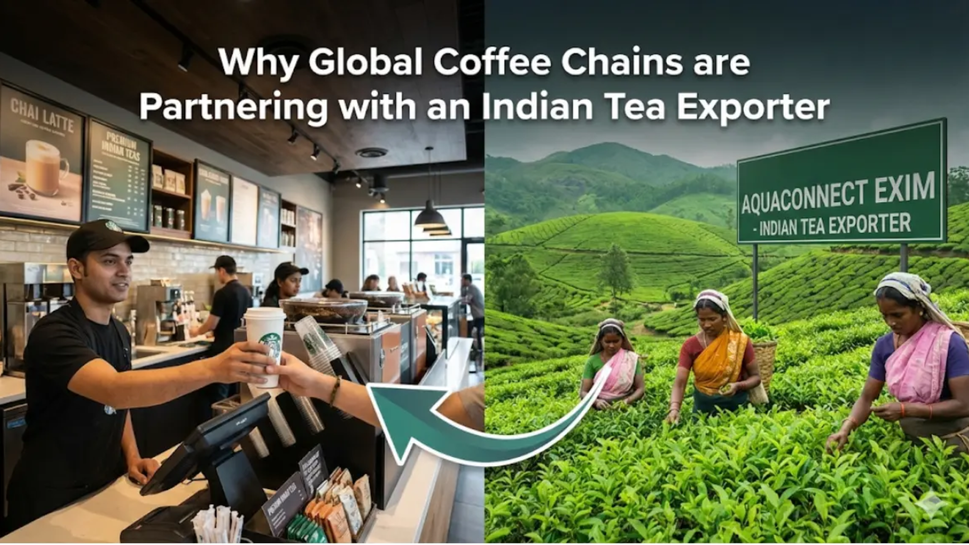tea exporter