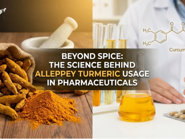 Alleppey Turmeric Usage in Pharmaceuticals